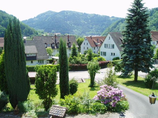 Schwarzwaldhotel / Wolfach Rum bild